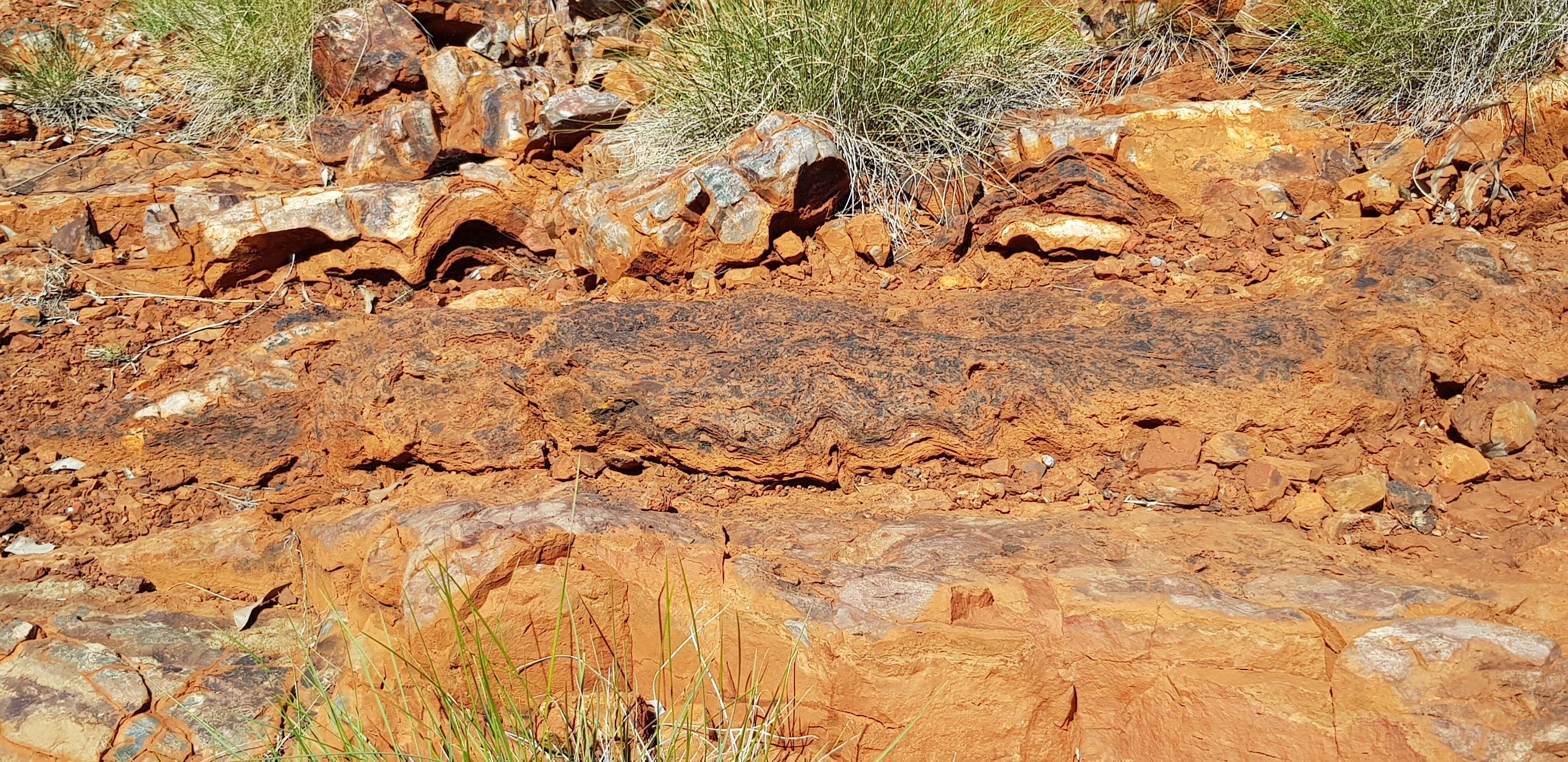 A section of the 3.48 billion year old Dresser Formation Pelican